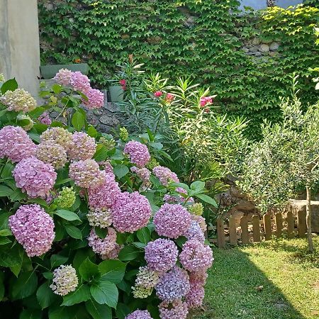 مبيت وإفطار لو فيغان Les Glycines المظهر الخارجي الصورة